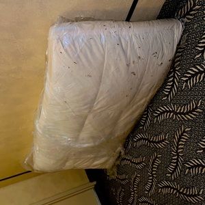 Feather couch insert/ used in good condition!